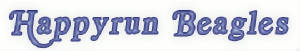 hrbeaglelogo.jpg